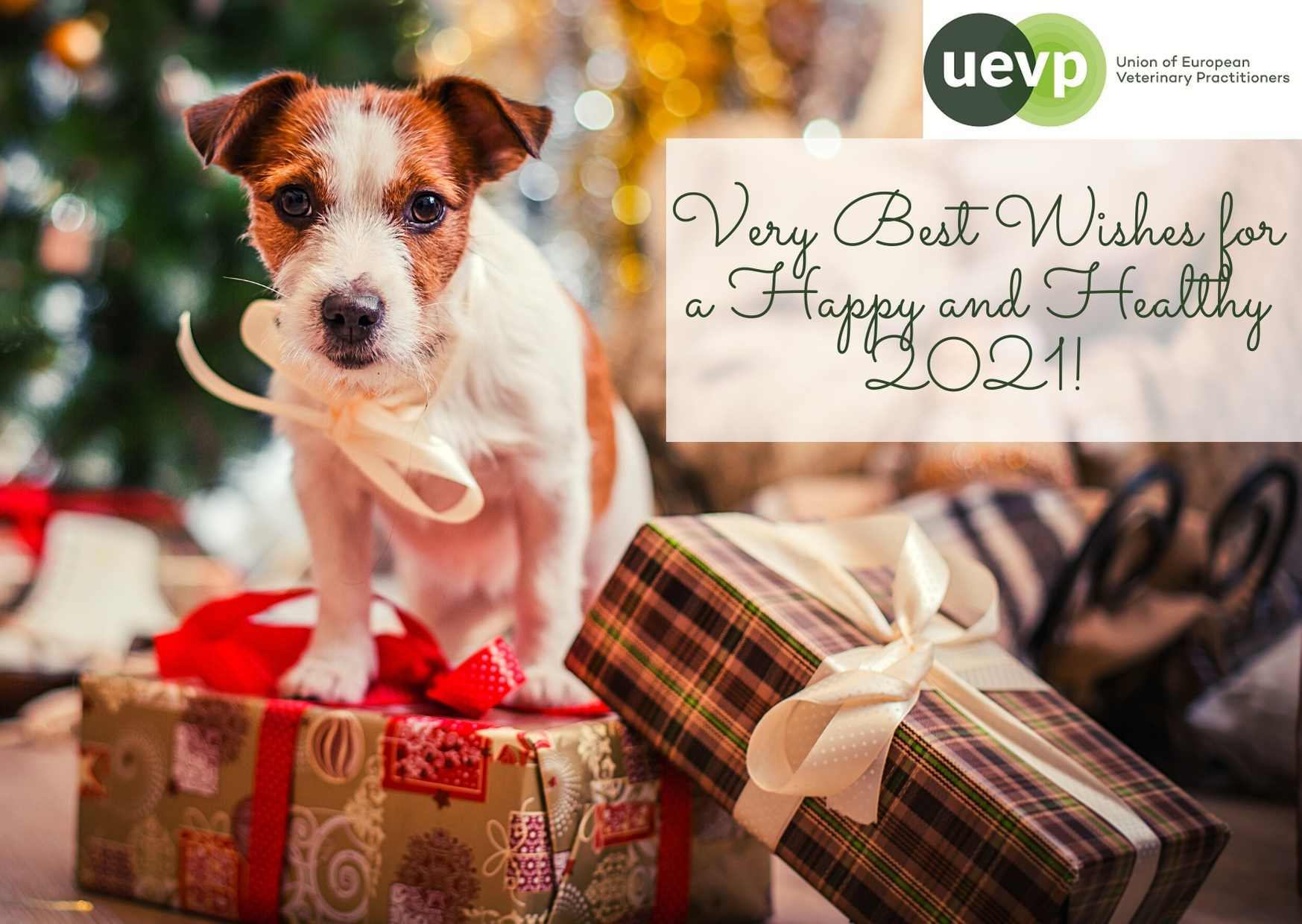 2021 wishes UEVP