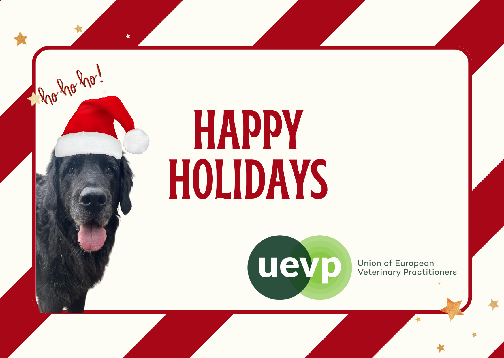 2024 Season Greetings