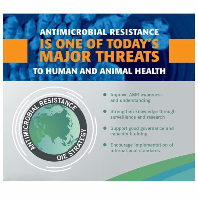 299600949 479874560811658 2685536906900275176 n 680x680