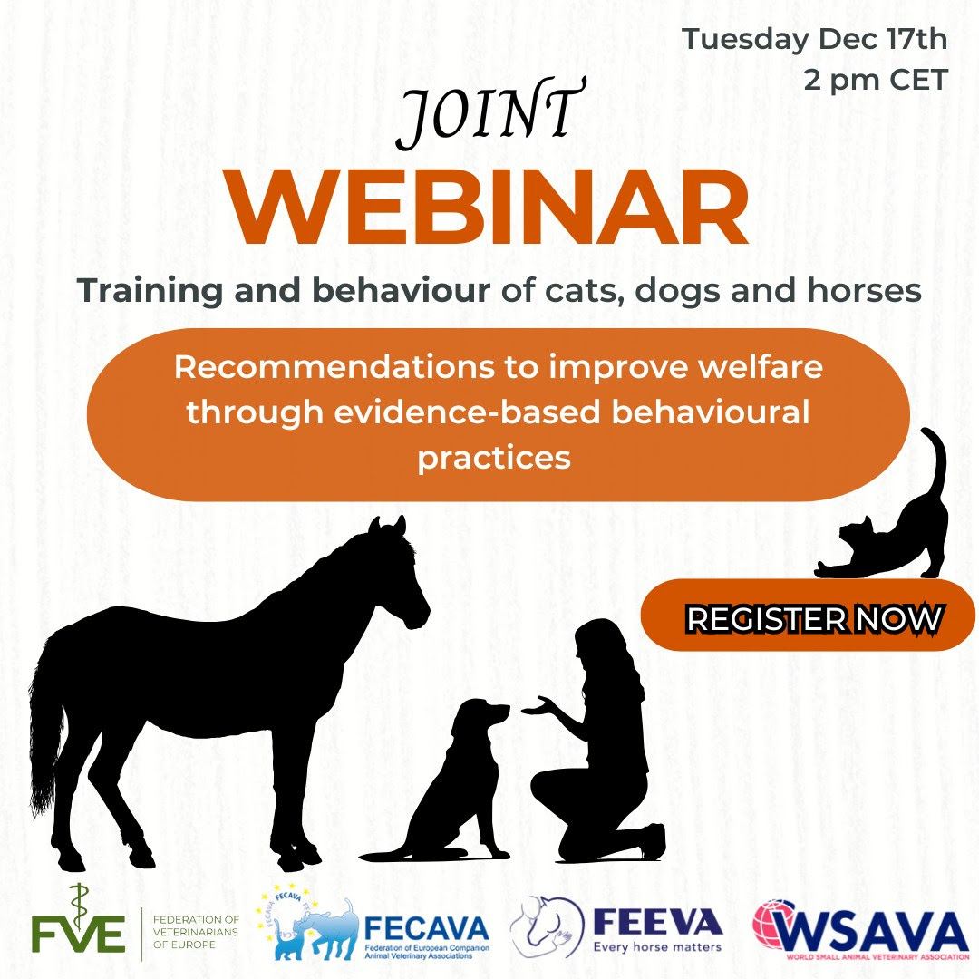 A FECAVA webinar on training