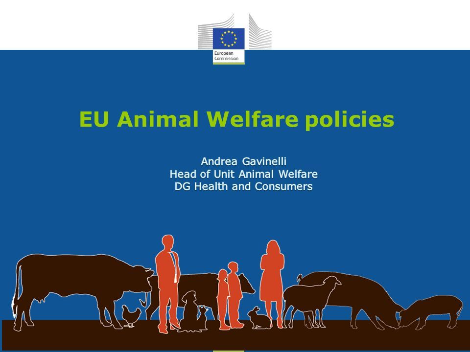 Animal Welfare 1