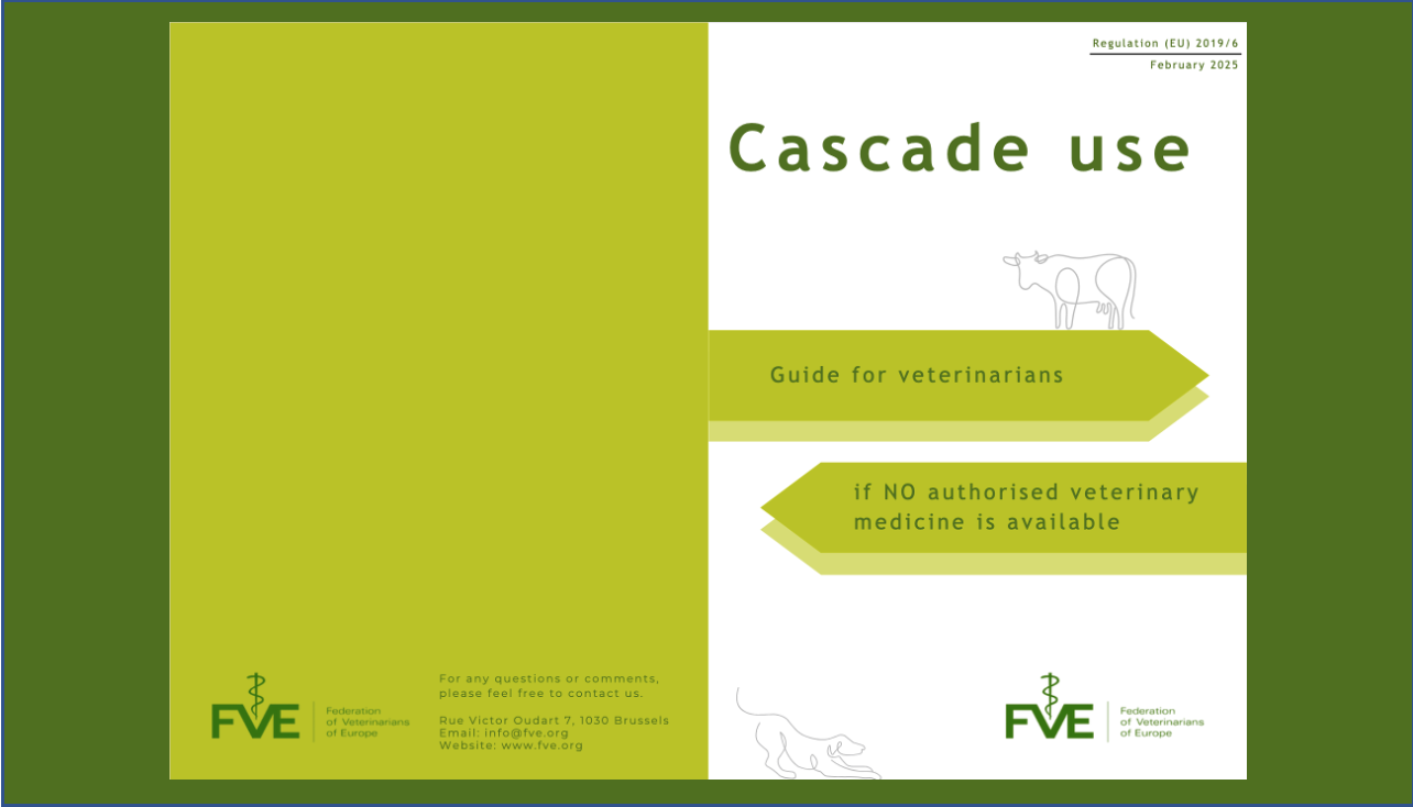 Capture décran 2025 04 28 à 19 07 48