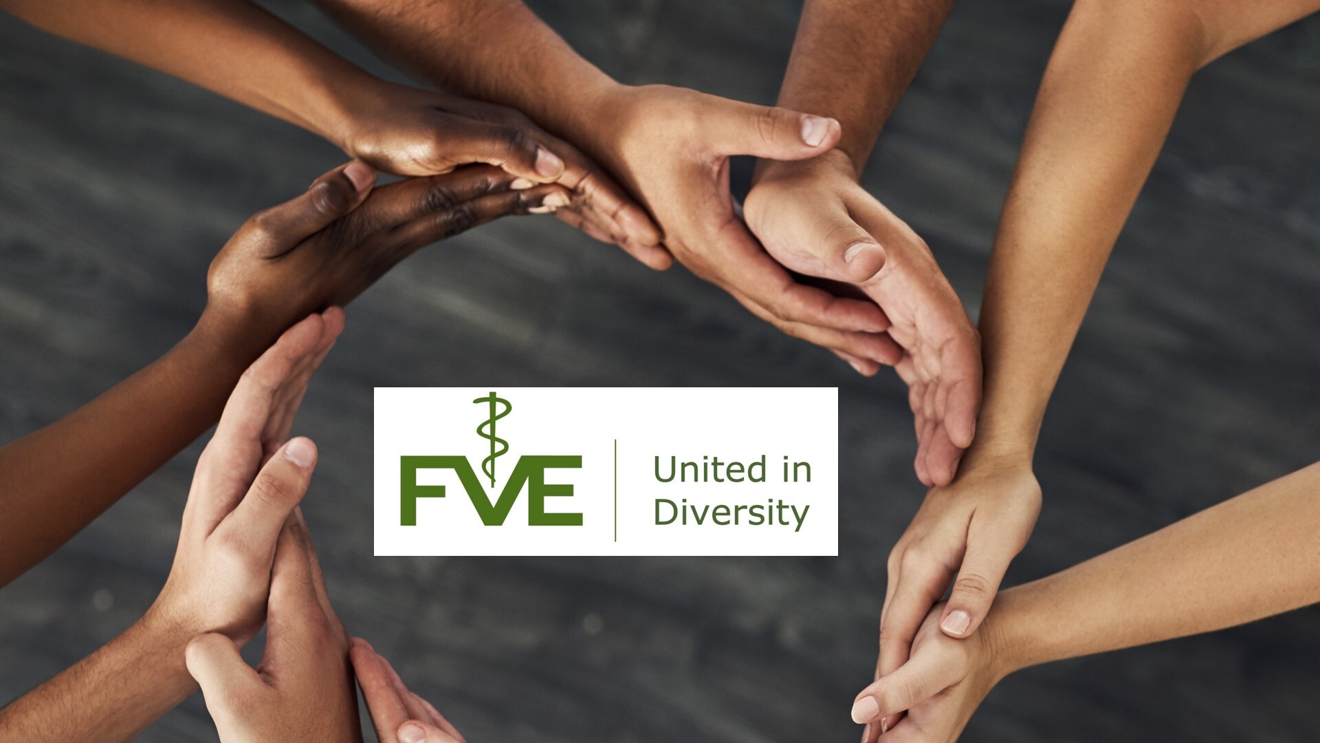 DEI campaign logo rev 1