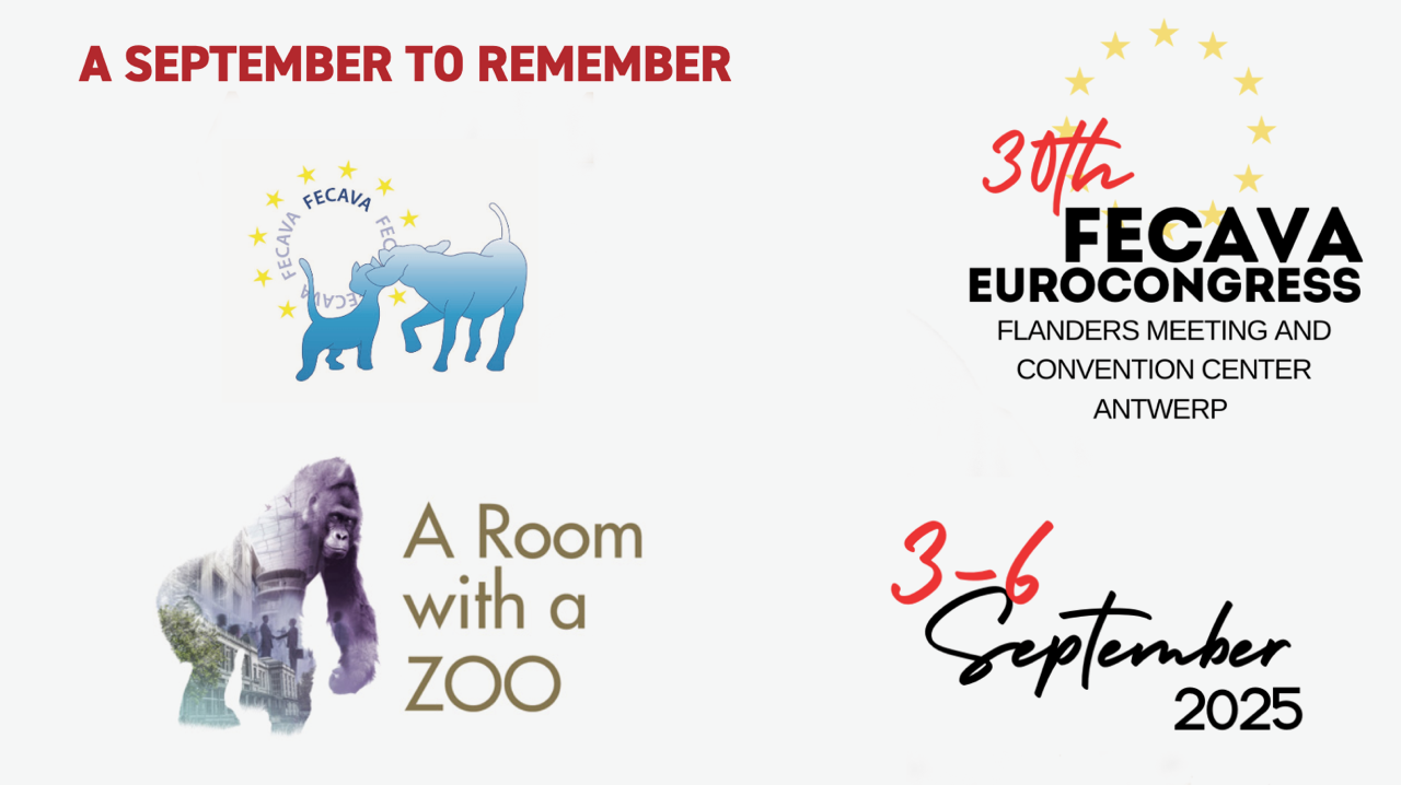 FECAVA congres