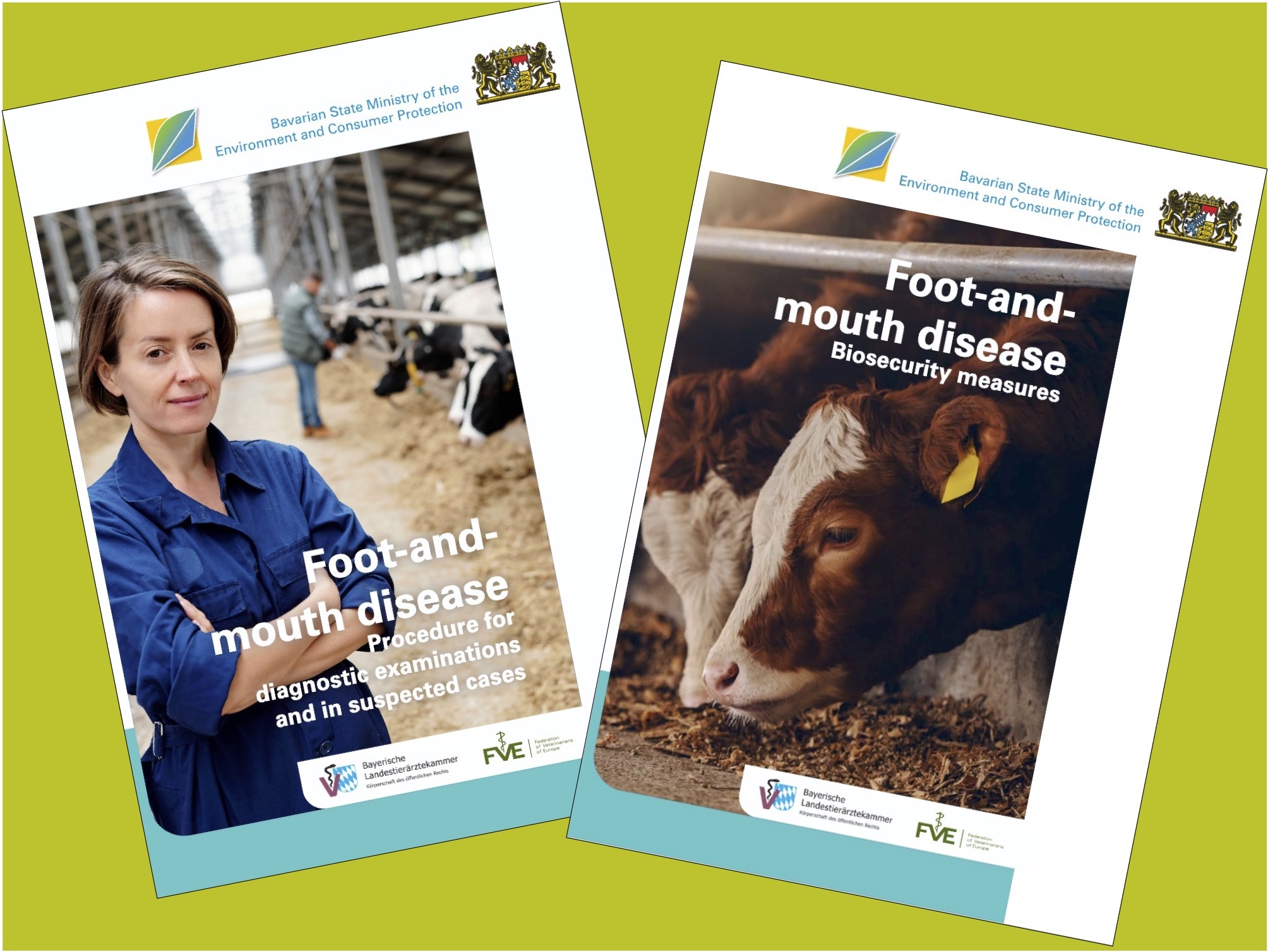 Foot-and-mouth disease brochures released
