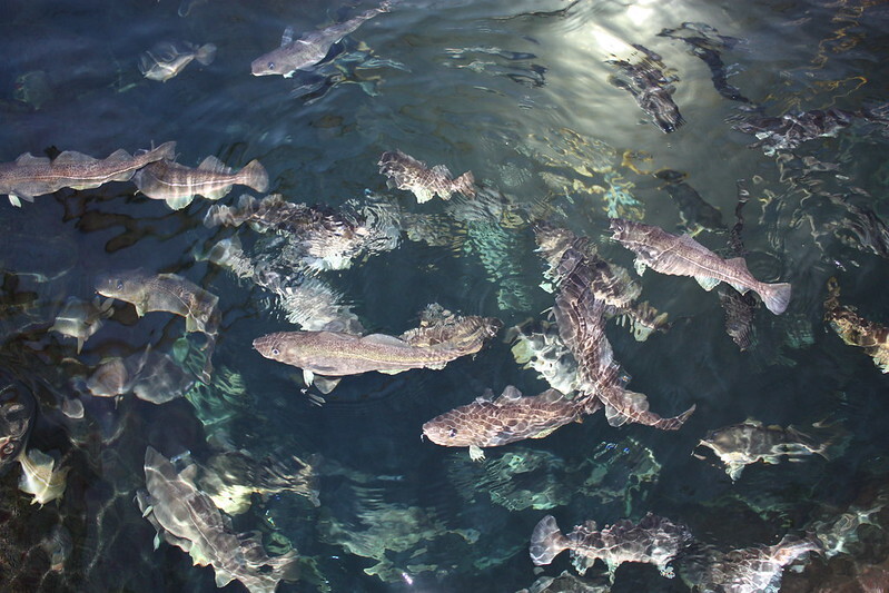 5363715282 ca4b208038 c