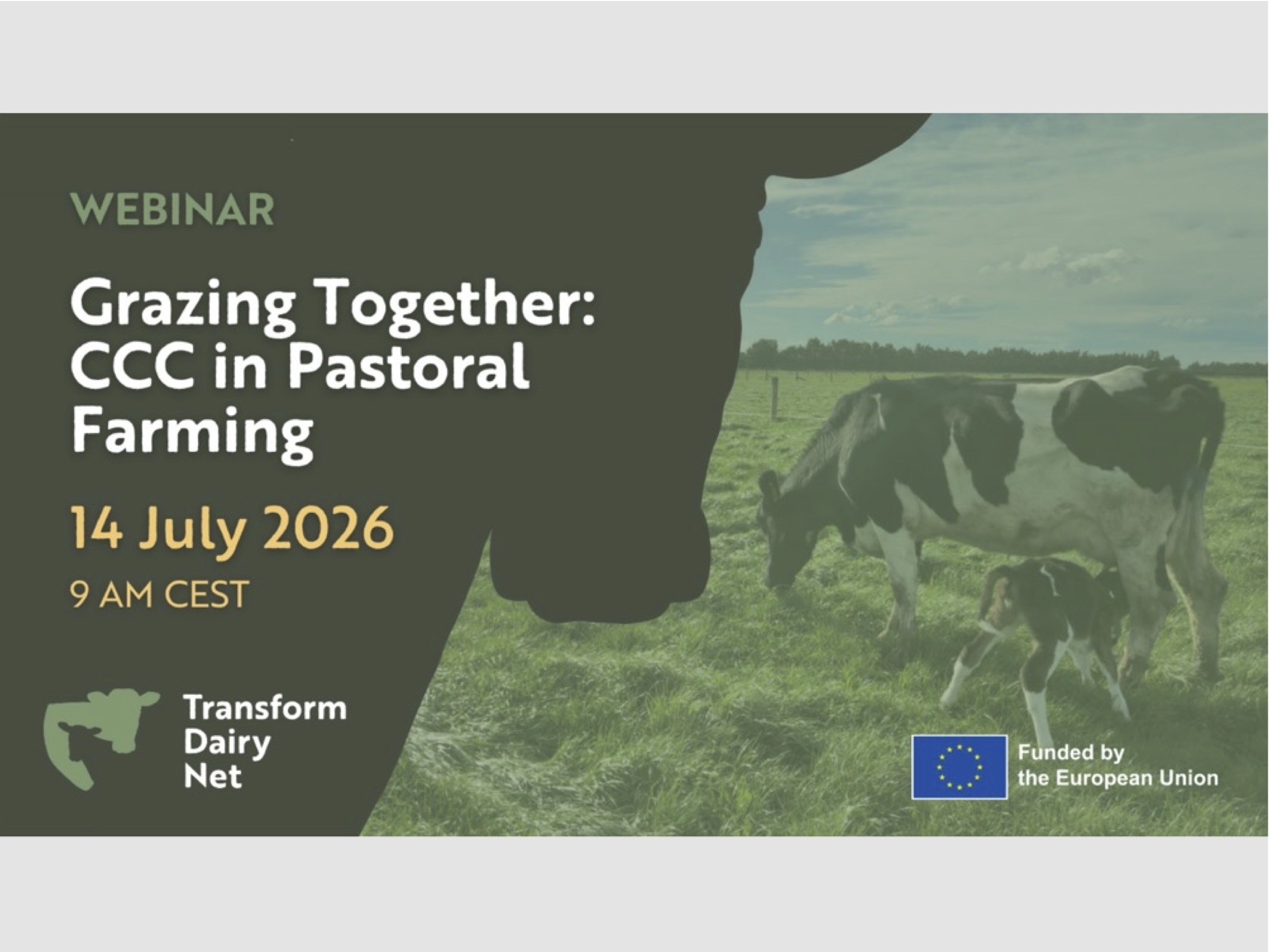 Webinar: Cow-calf contact in pastoral dairy farming