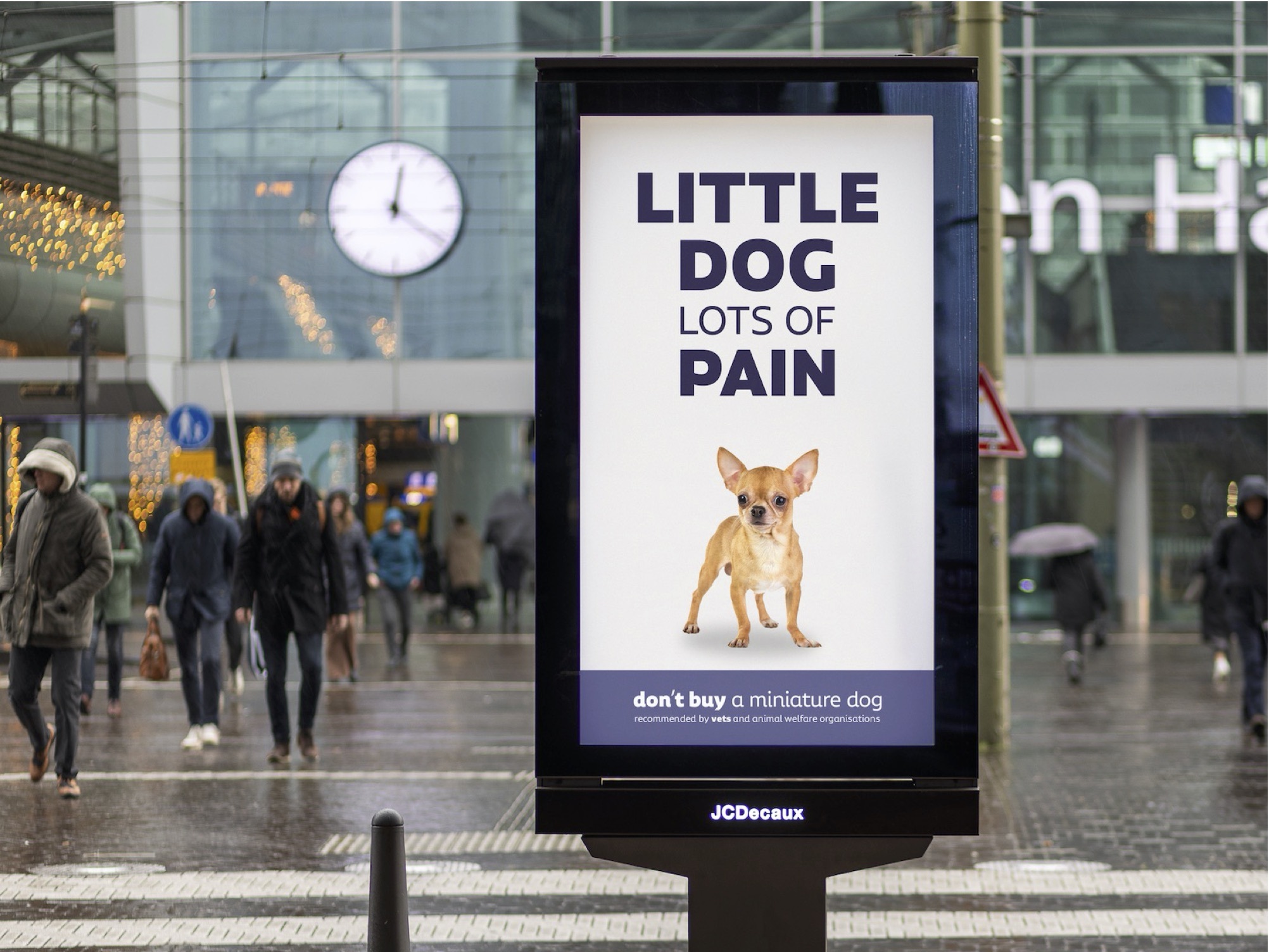 Dutch campaign against the breeding of miniature dogs