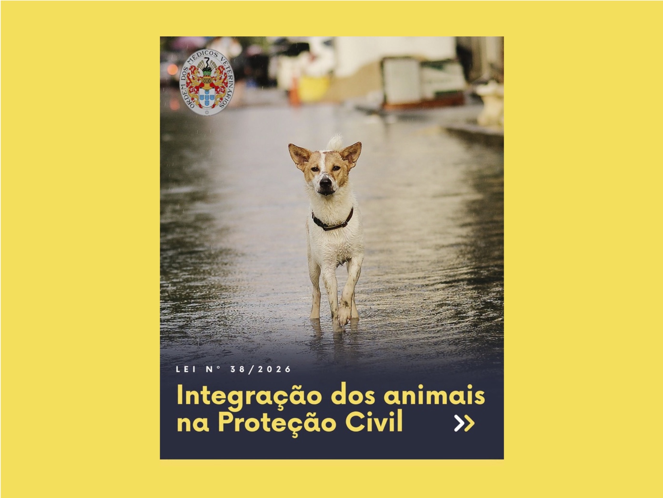 Portugal strengthens animal protection in emergencies
