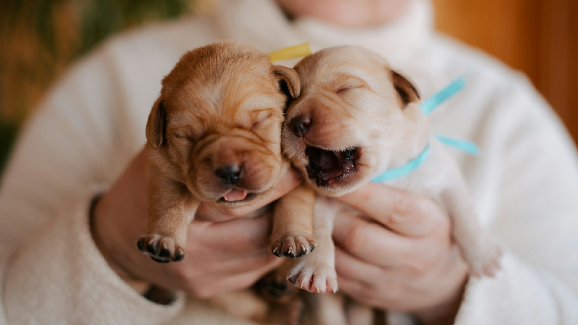 Kateryna hliznitsova LUV3pjp YA0 unsplash