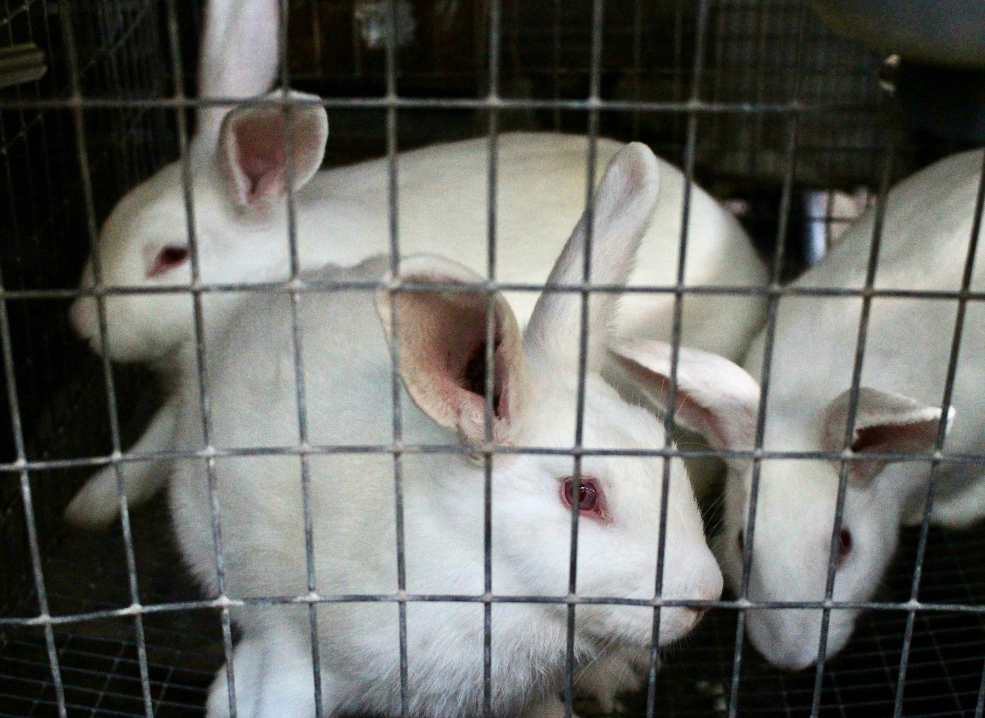 Chelsey marques o ZH Nya T Oyd0 unsplash