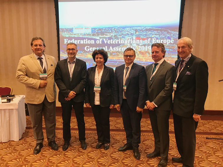 UEVP New Board 2019 755