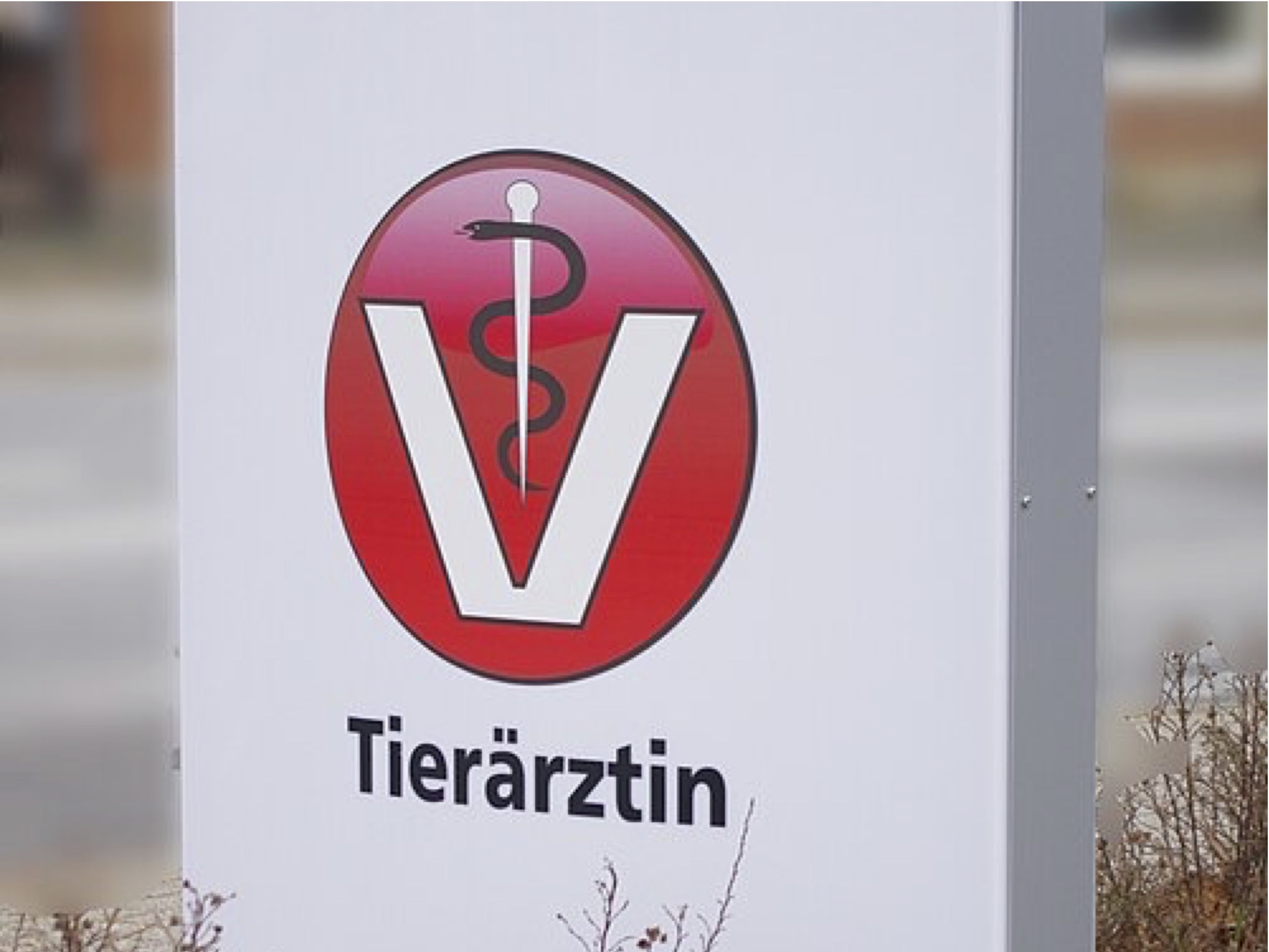 Germany: more vets, fewer practice owners