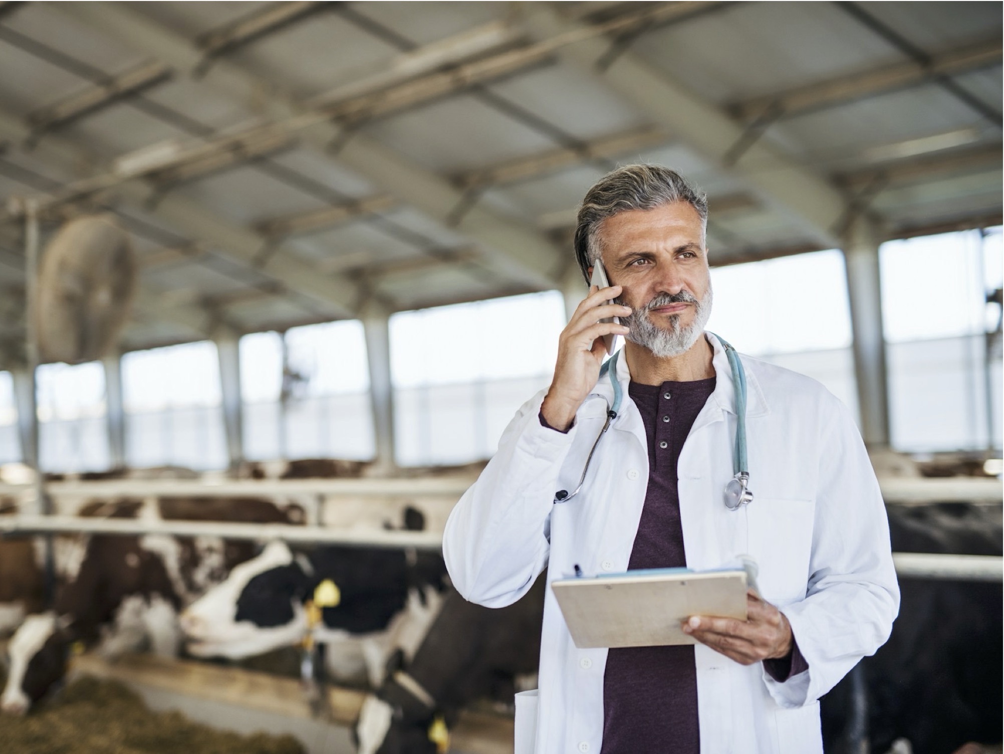 FVE: Strengthening biosecurity through veterinary leadership