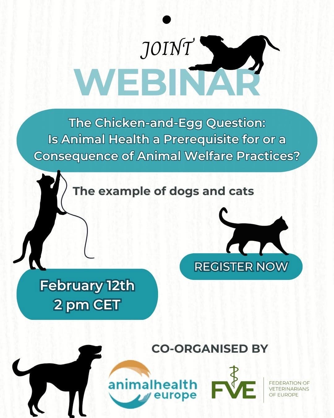 Webinar 12 Febr 2025