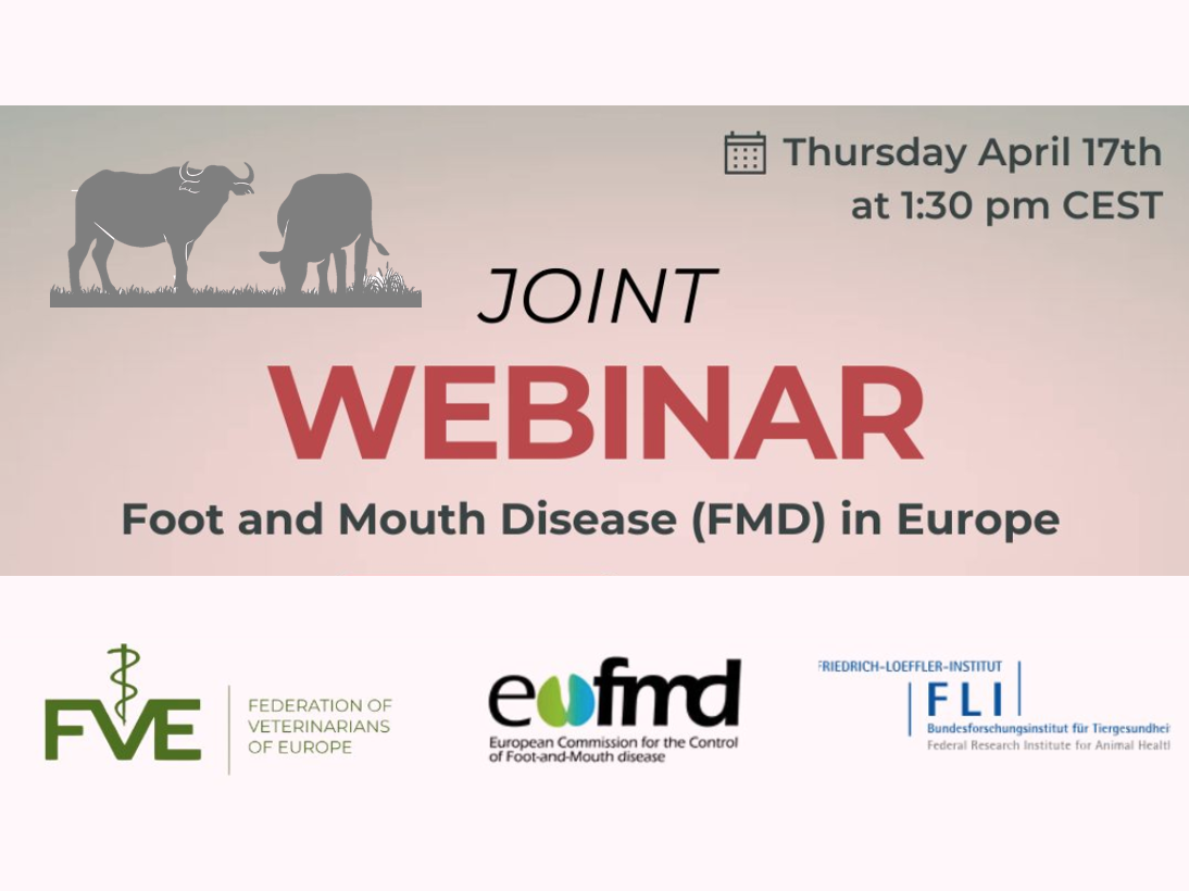 Capture décran 2025 04 14 à 09 19 10