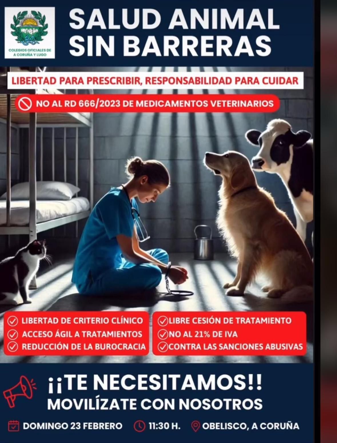 Whats App Image 2025 02 18 at 21 38 54