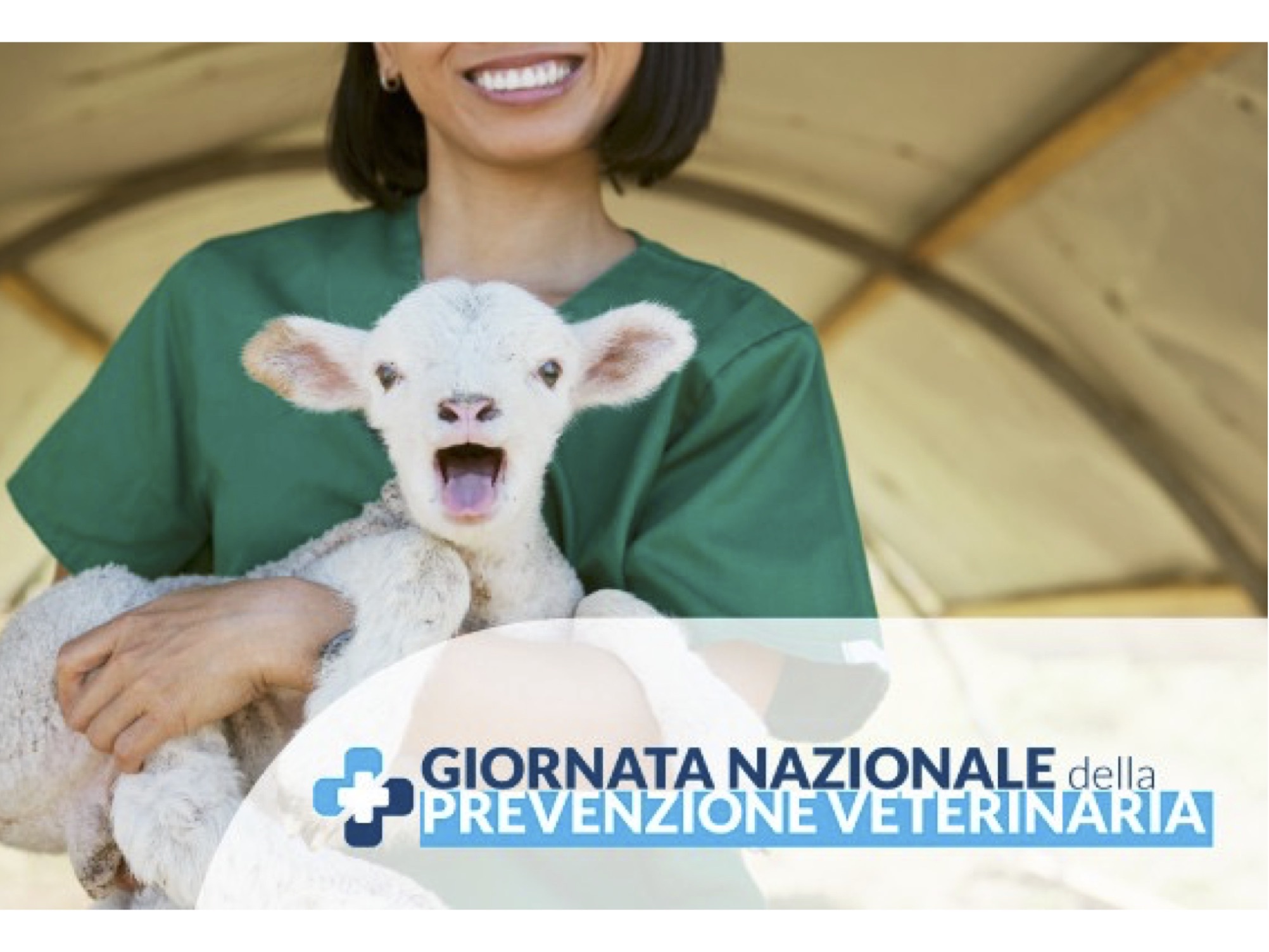 Italy celebrates its first Day of Veterinary Prevention