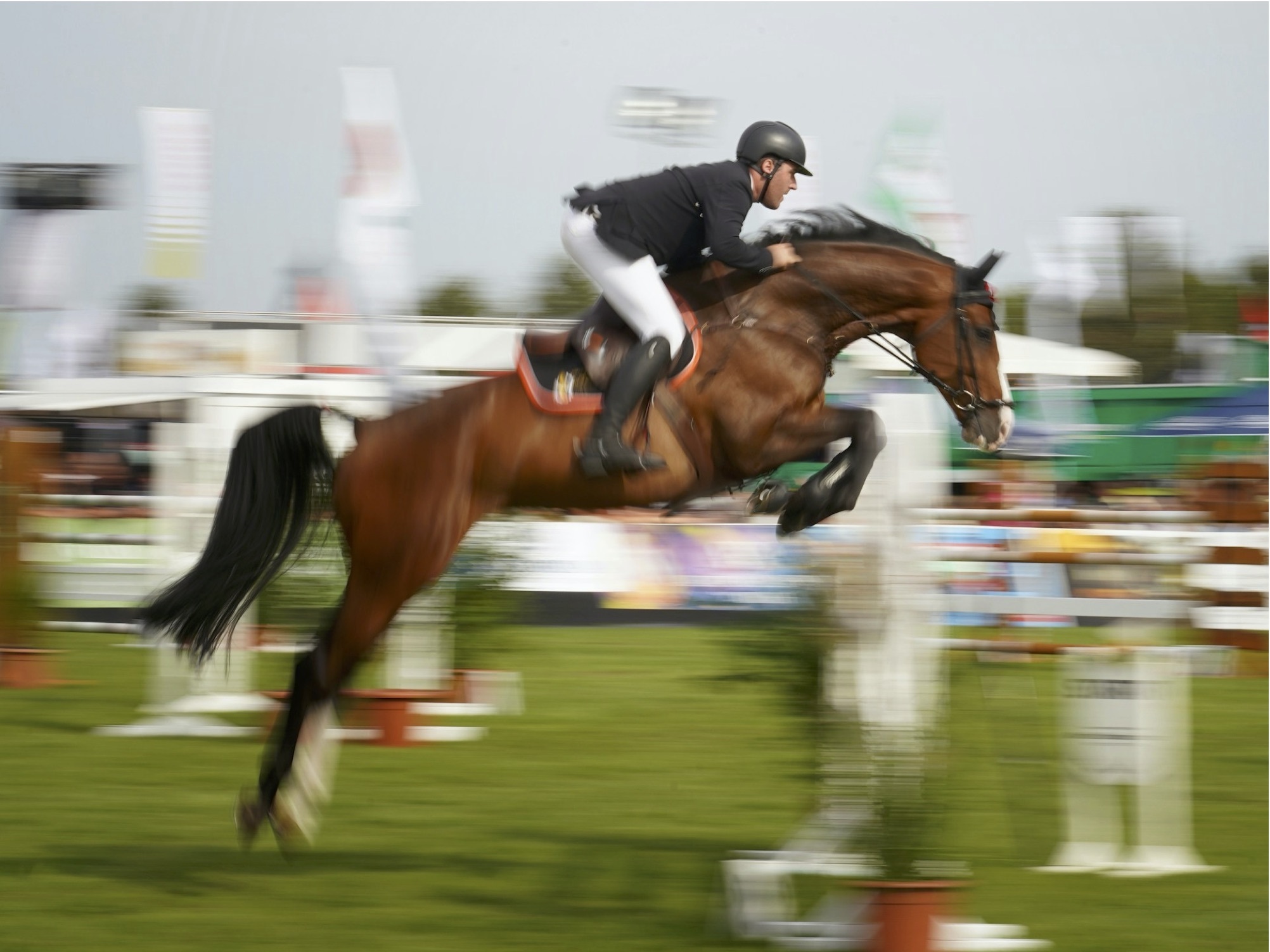 Feeva webinar: feedback on the FEI HorseApp