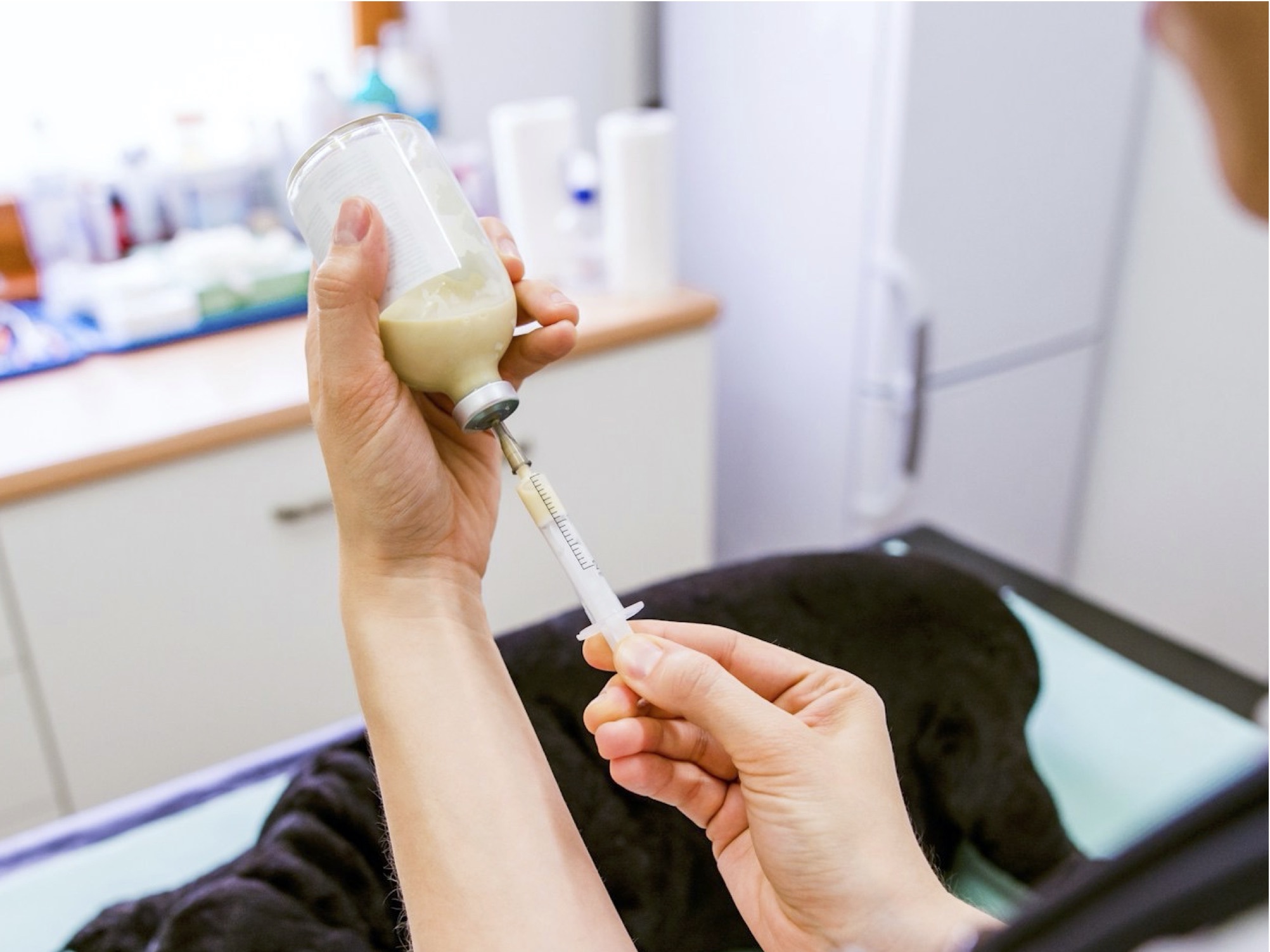 Ukraine overhauls veterinary medicines law to align with EU