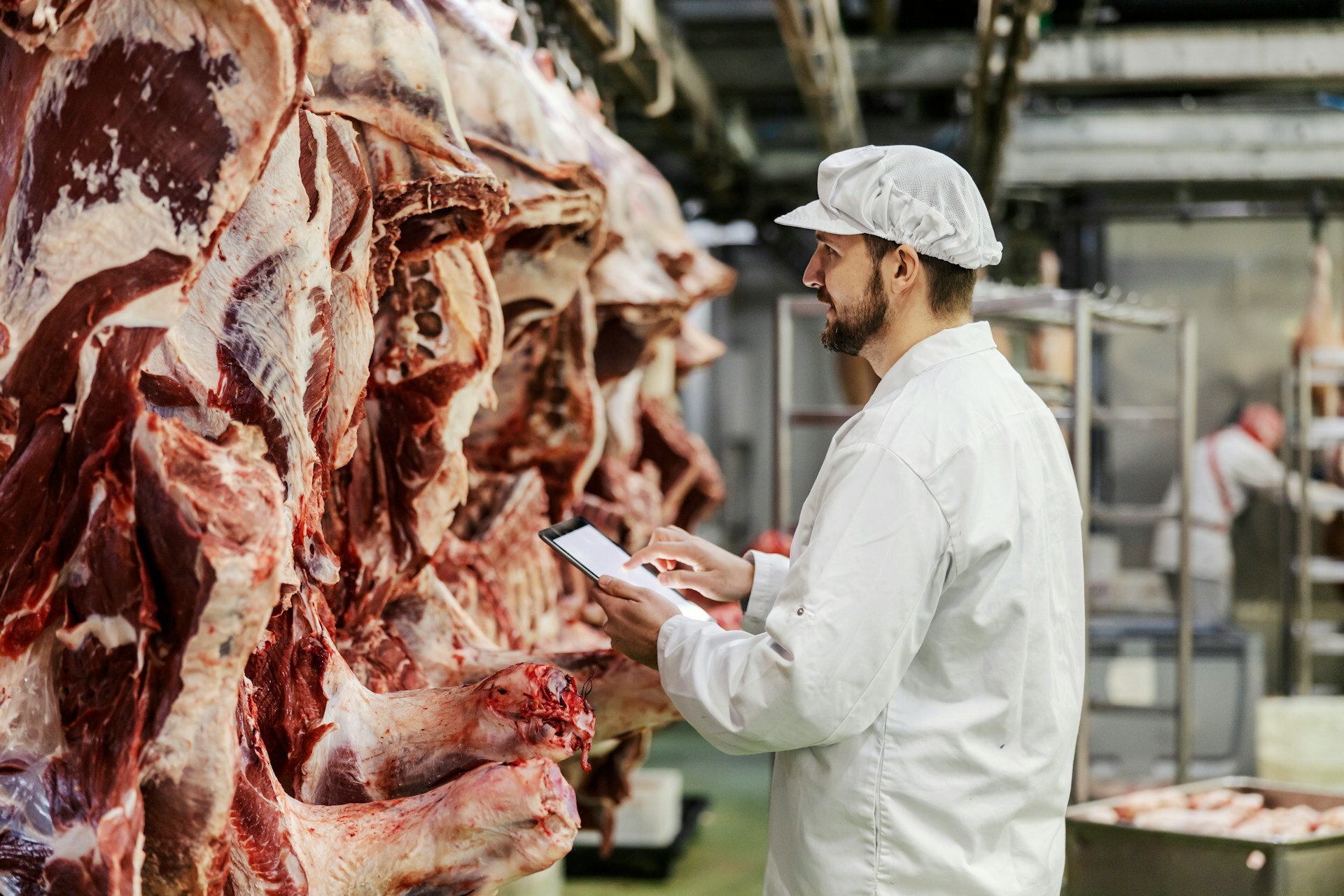 Remote controls in slaughterhouses: FVE pushes for safeguards