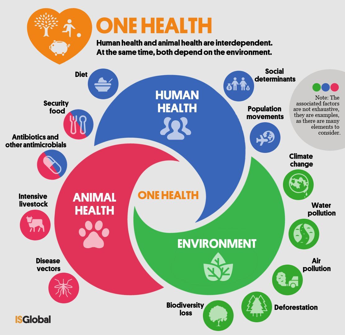 One health en