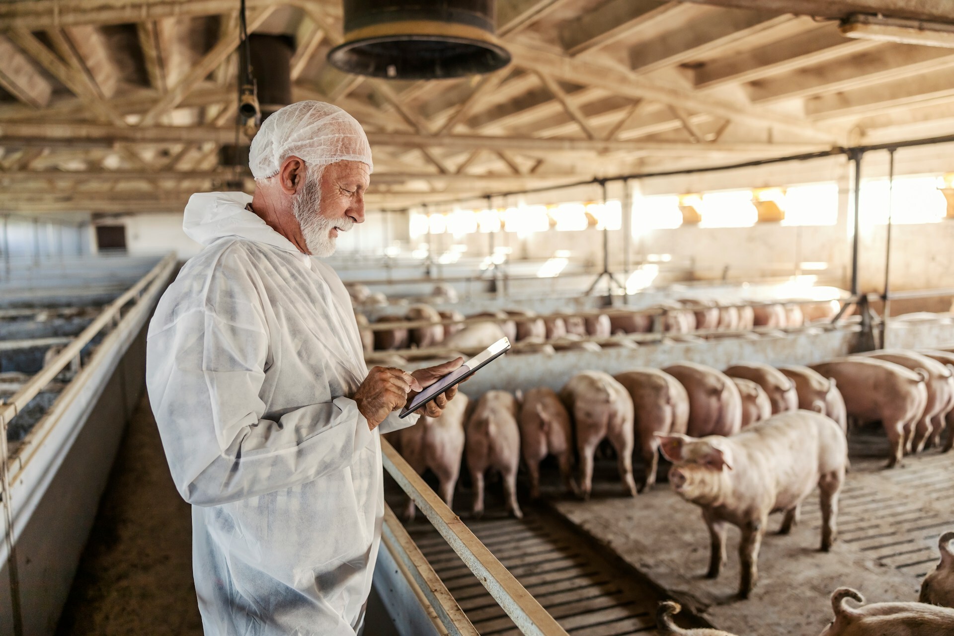 FVE and UEVP establish joint Animal Health Working Group