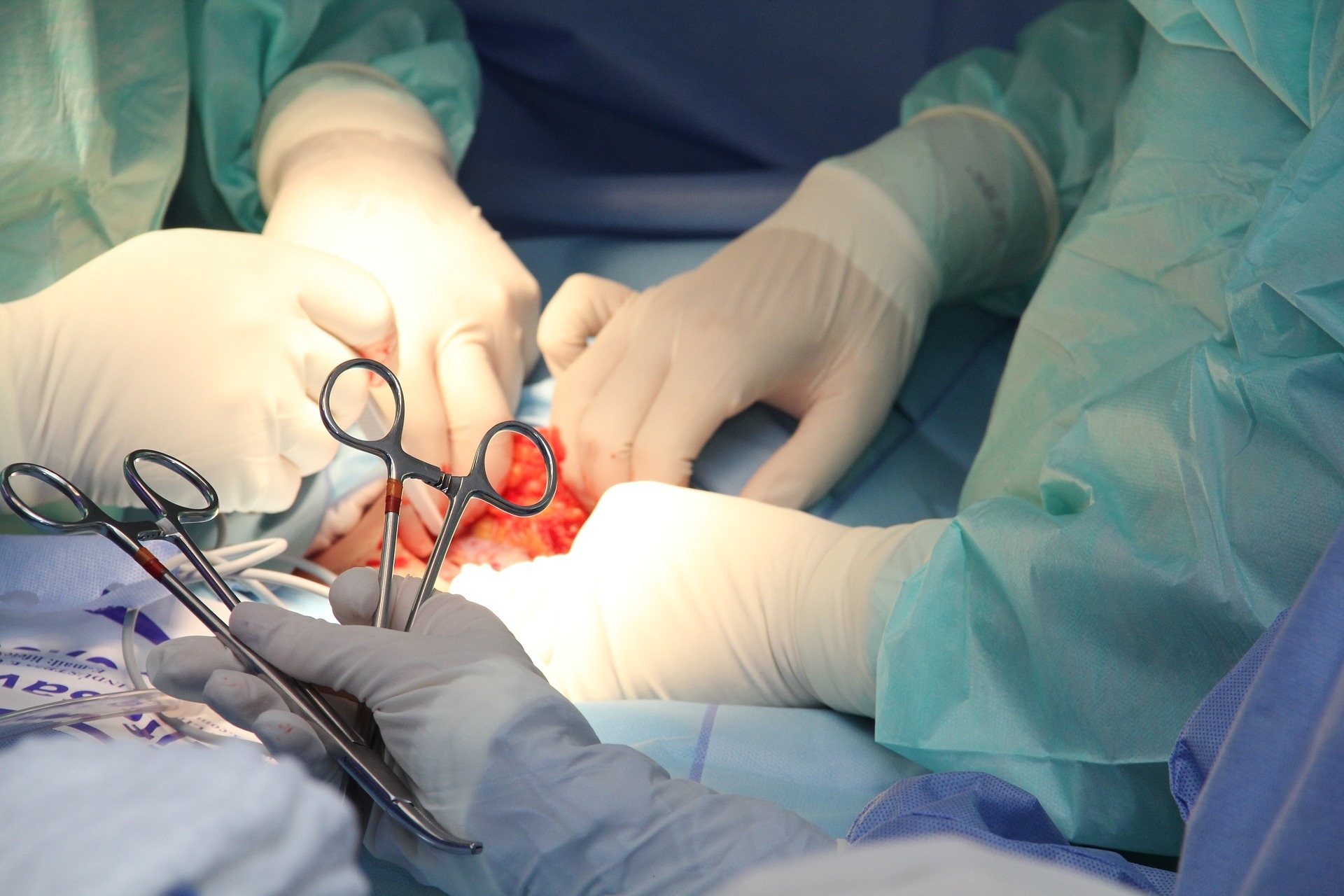 VET-PASS launches European initiative on veterinary specialisation