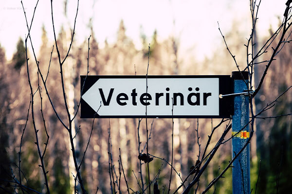 Sweden: veterinary pricing under scrutiny