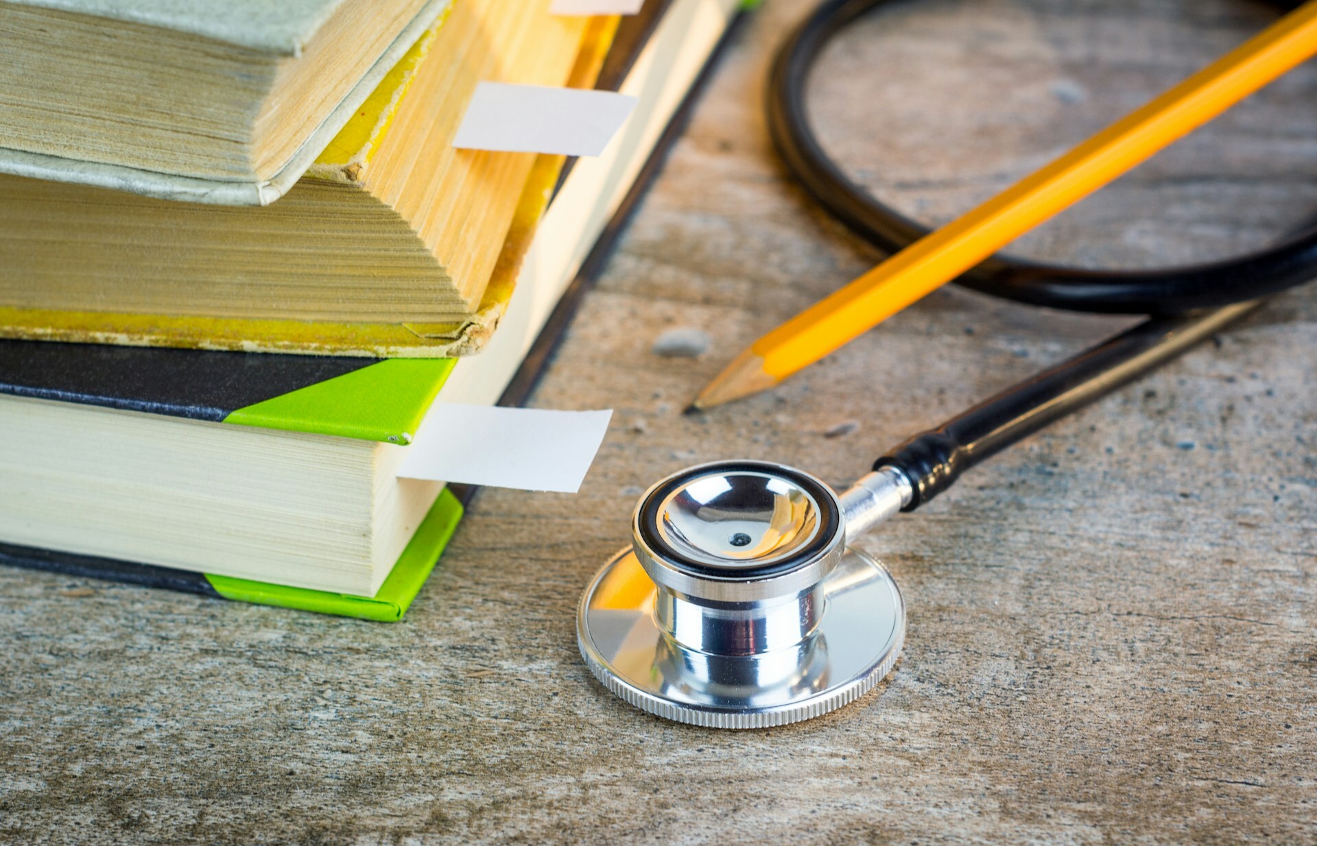 UPMVSH sets out its position on veterinary CPD in Albania